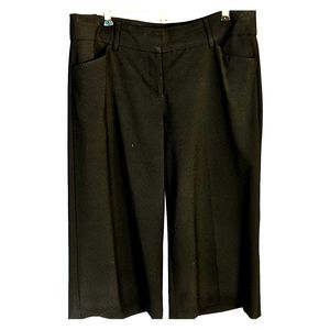 Express Editor Gaucho Pants - 10